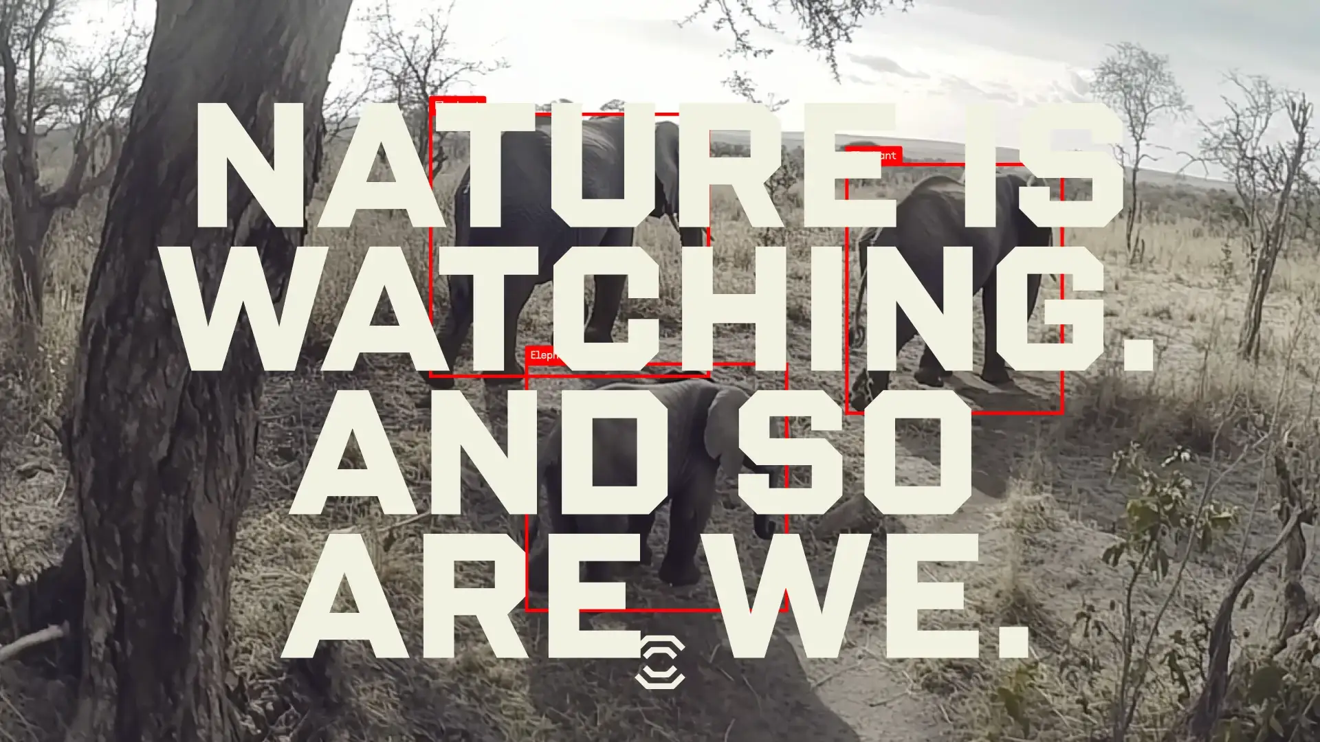 Brand frame: “Nature is watching. And so are we.” in white over elephants boxed by red detection squares