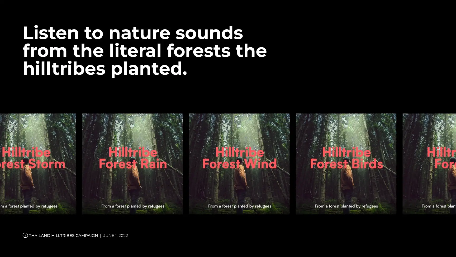 Cover art for Hilltribe Forest Storm, Rain, Wind and Birds
