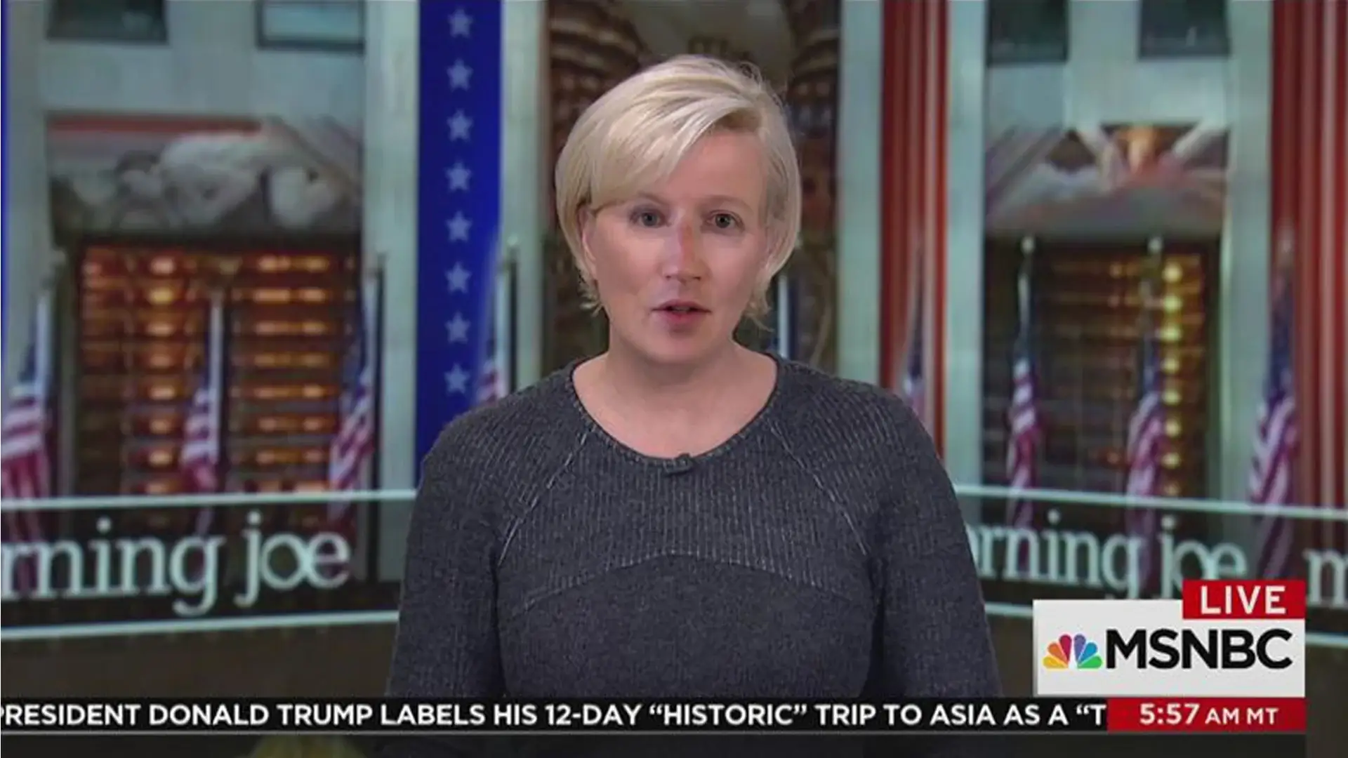 A morning-show host on MSNBC, her face swapped with Mark Zuckerberg's