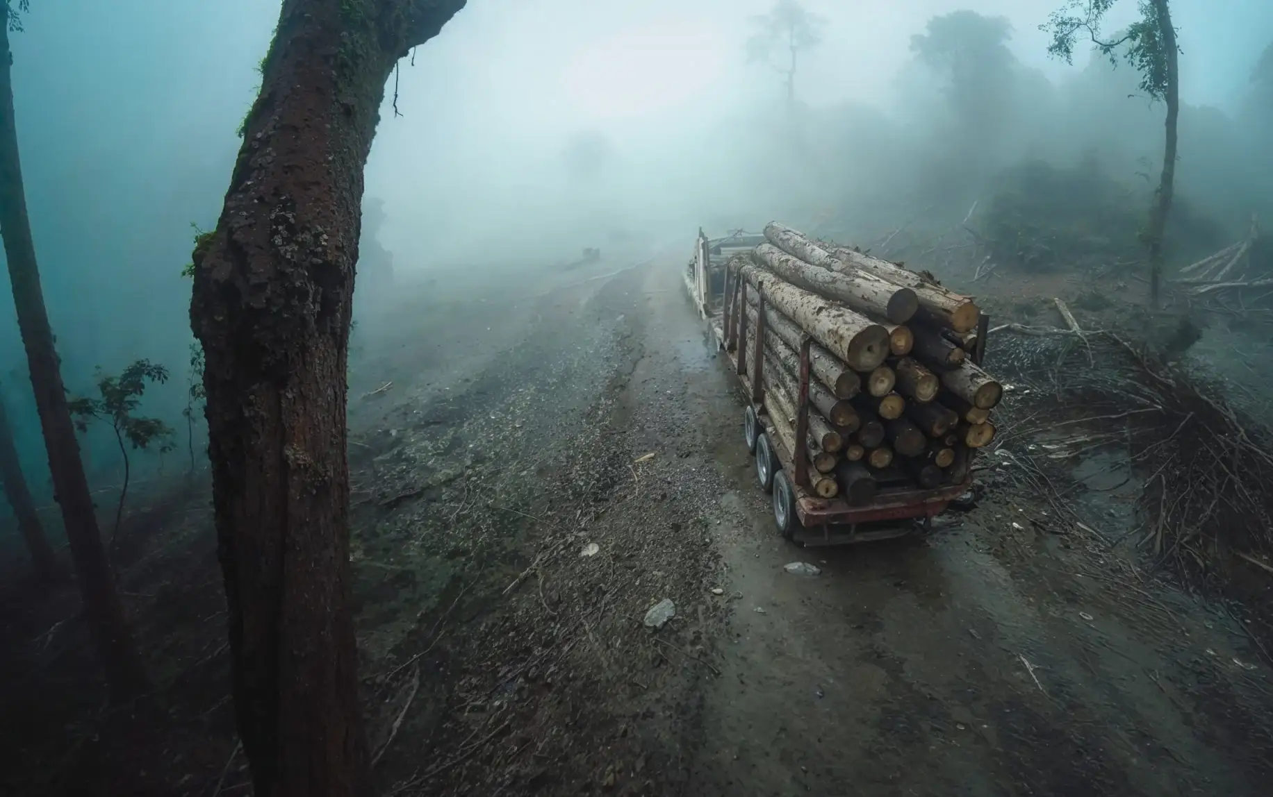 Camera-view art: a logging truck on a misty forest road (AI-generated art direction)