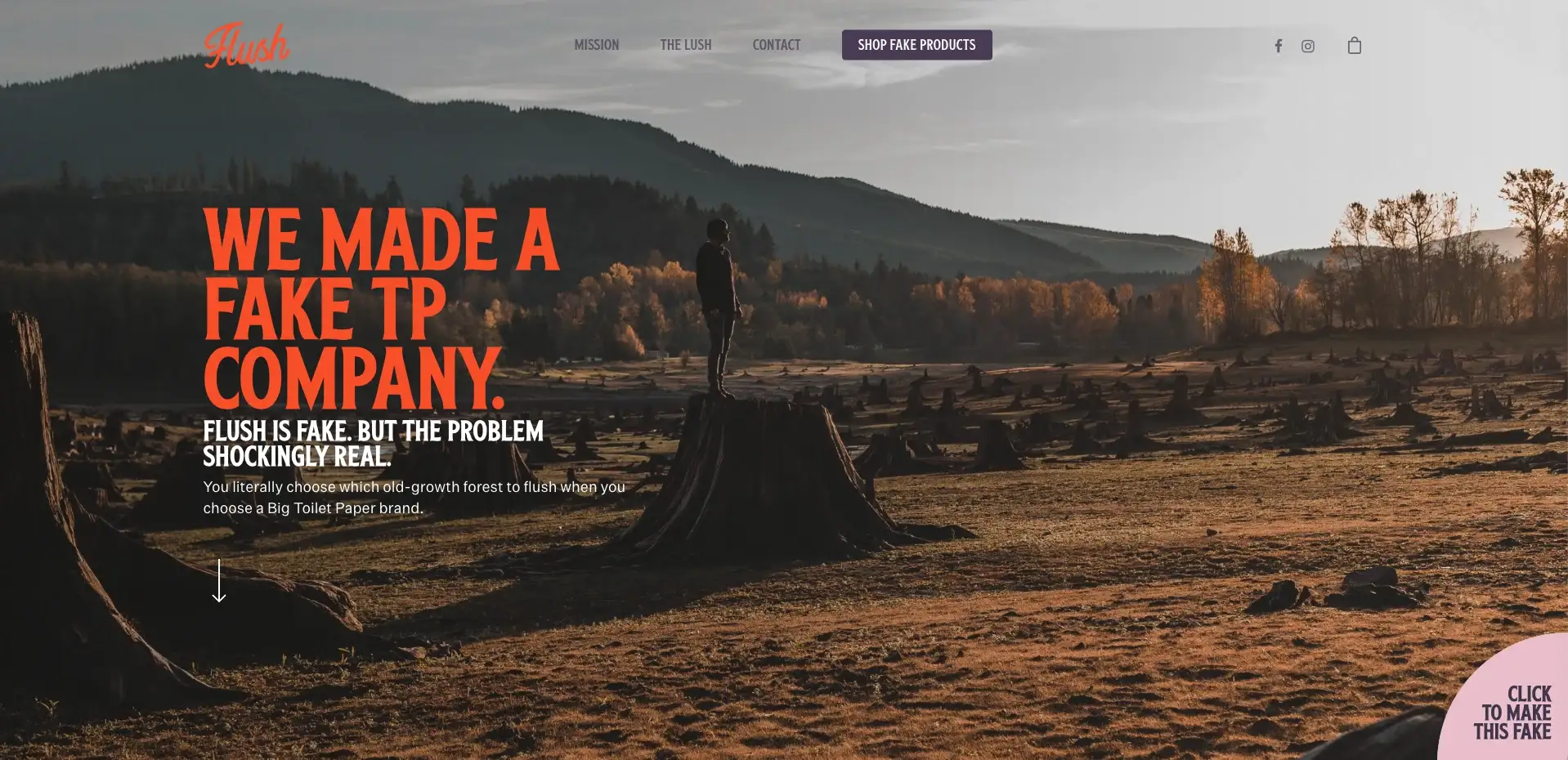 Reveal website: 'We made a fake TP company. But the problem is shockingly real.'