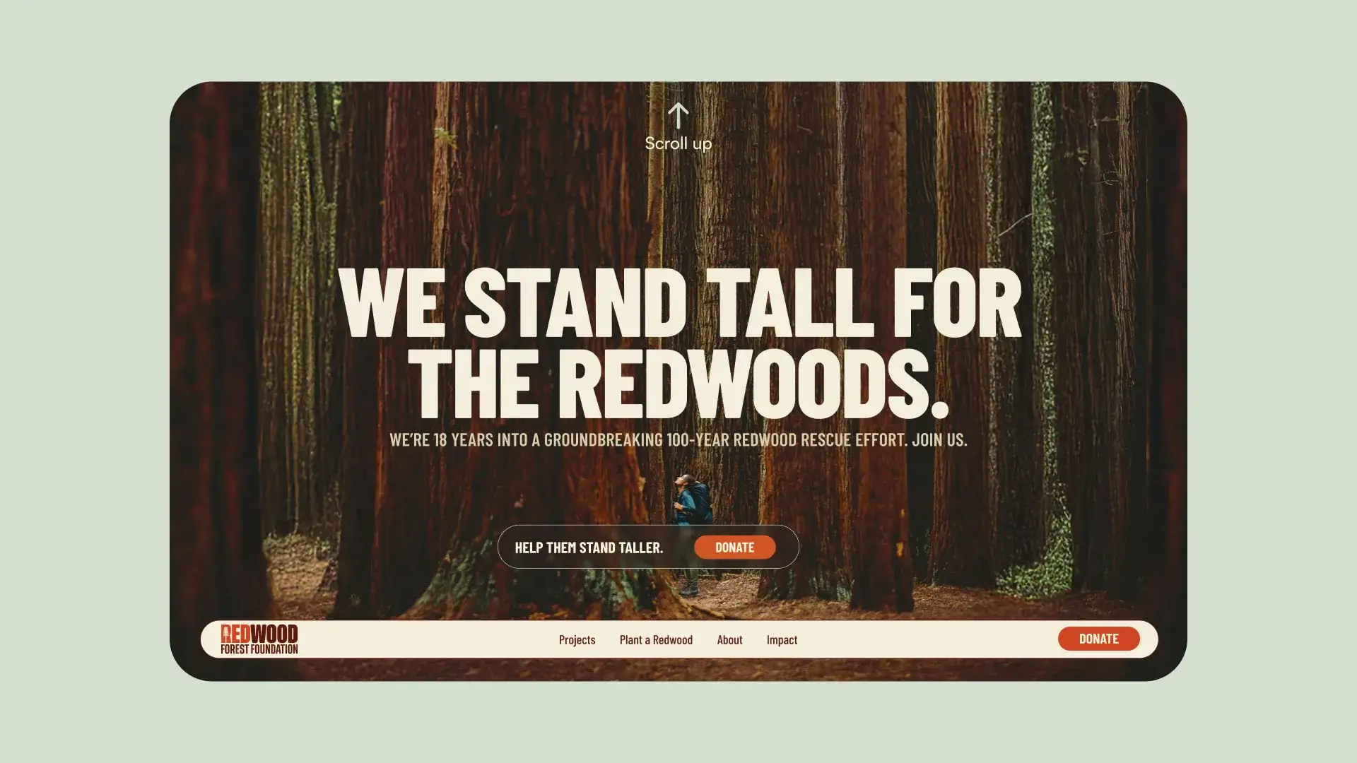 Website hero: We stand tall for the redwoods, over a giant redwood trunk